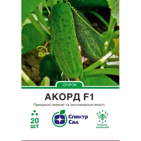 Огірок Акорд  20шт.