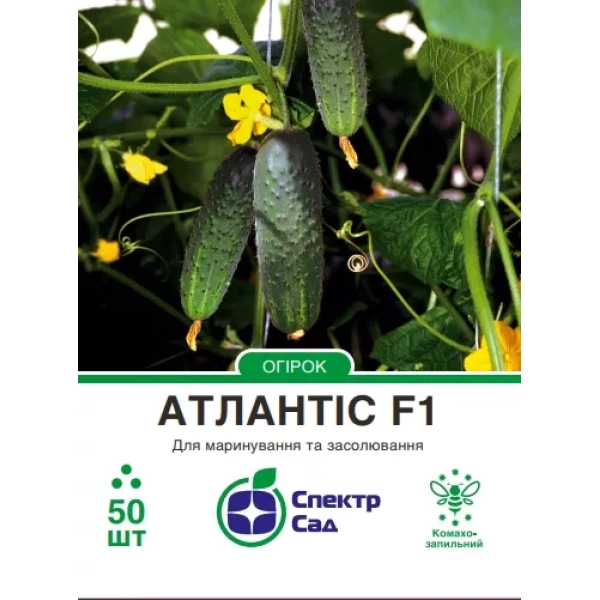 Огірок Атлантіс F1