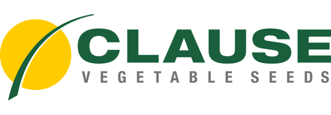 Clause