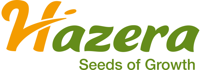 Hazera