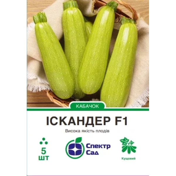 Кабачок Іскандер