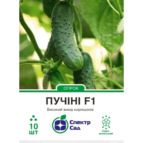 Огірок Пучіні 10шт.
