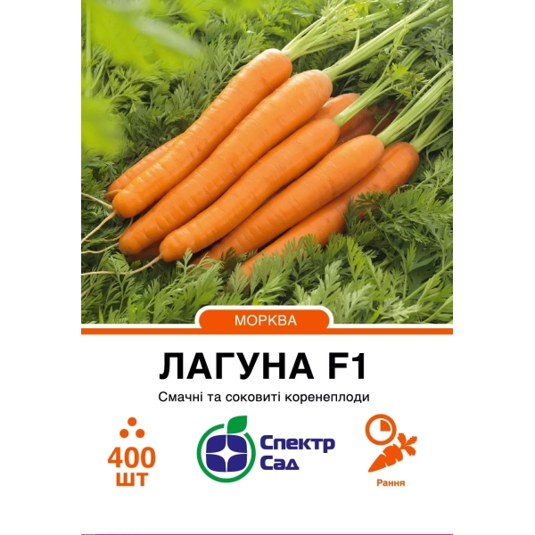 Морква Лагуна