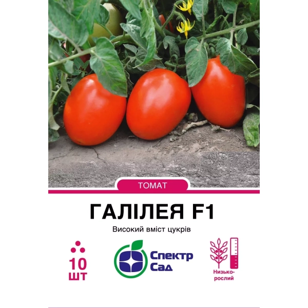 Томат Галілея F1