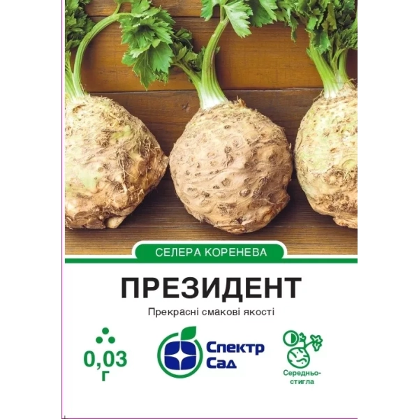 Селера Коренева Президент
